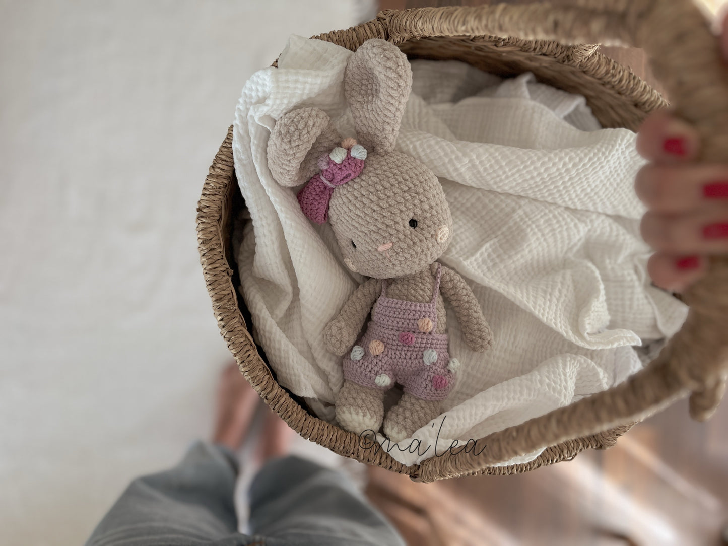 Instructions for Lucca the Bear (Digital Download in German)