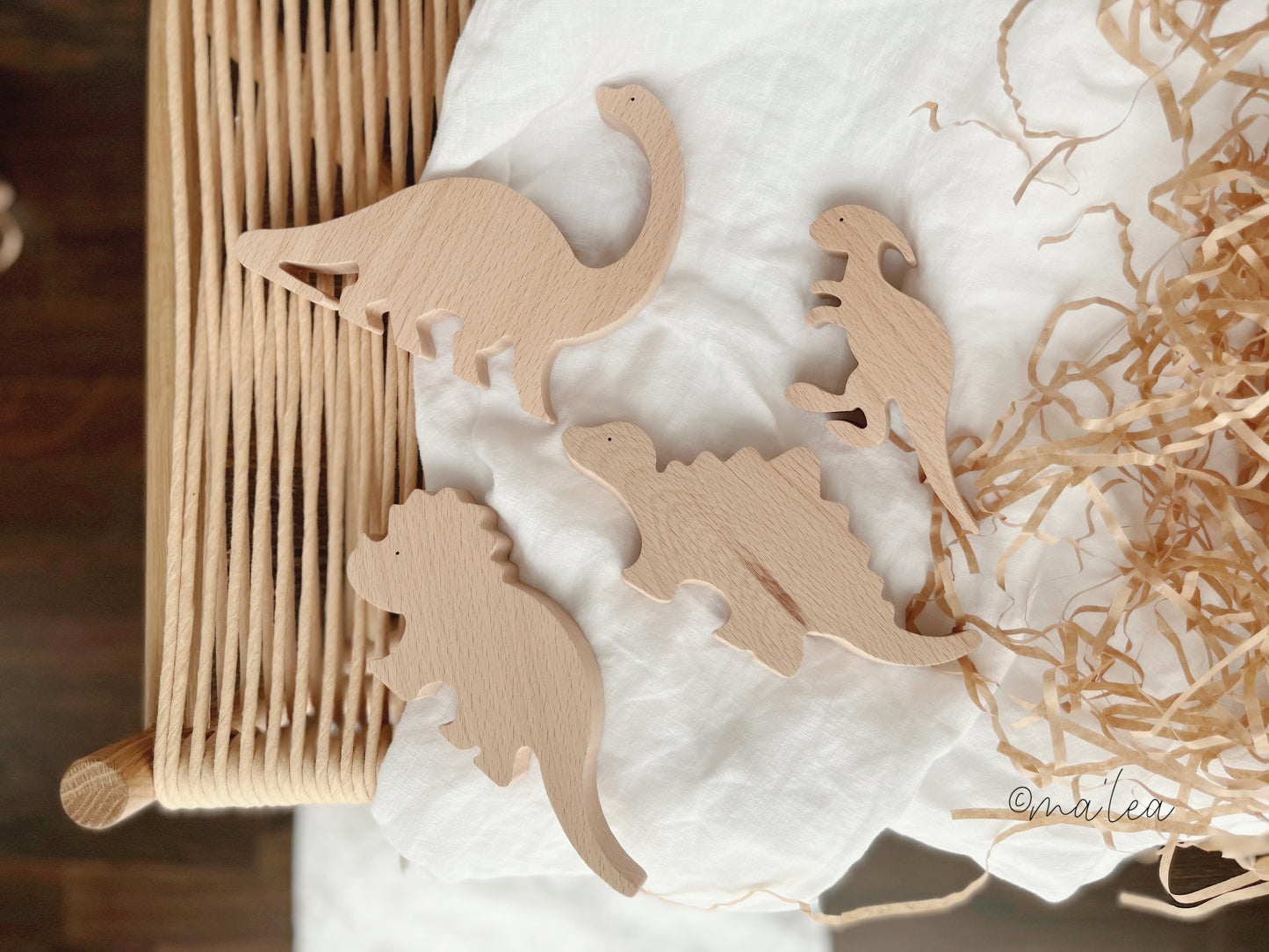 Holz Dinosaurier Spielzeug Set