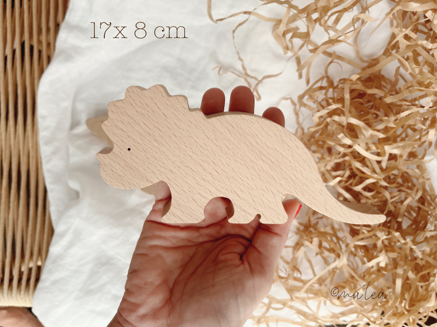 Holz Dinosaurier Spielzeug Set