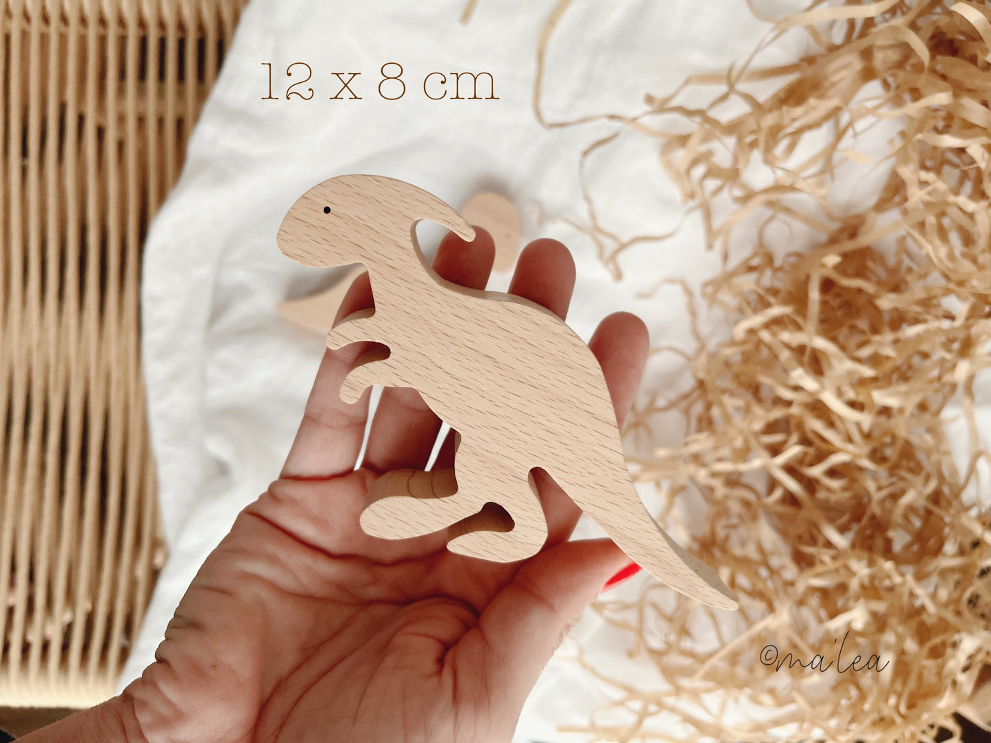 Holz Dinosaurier Spielzeug Set