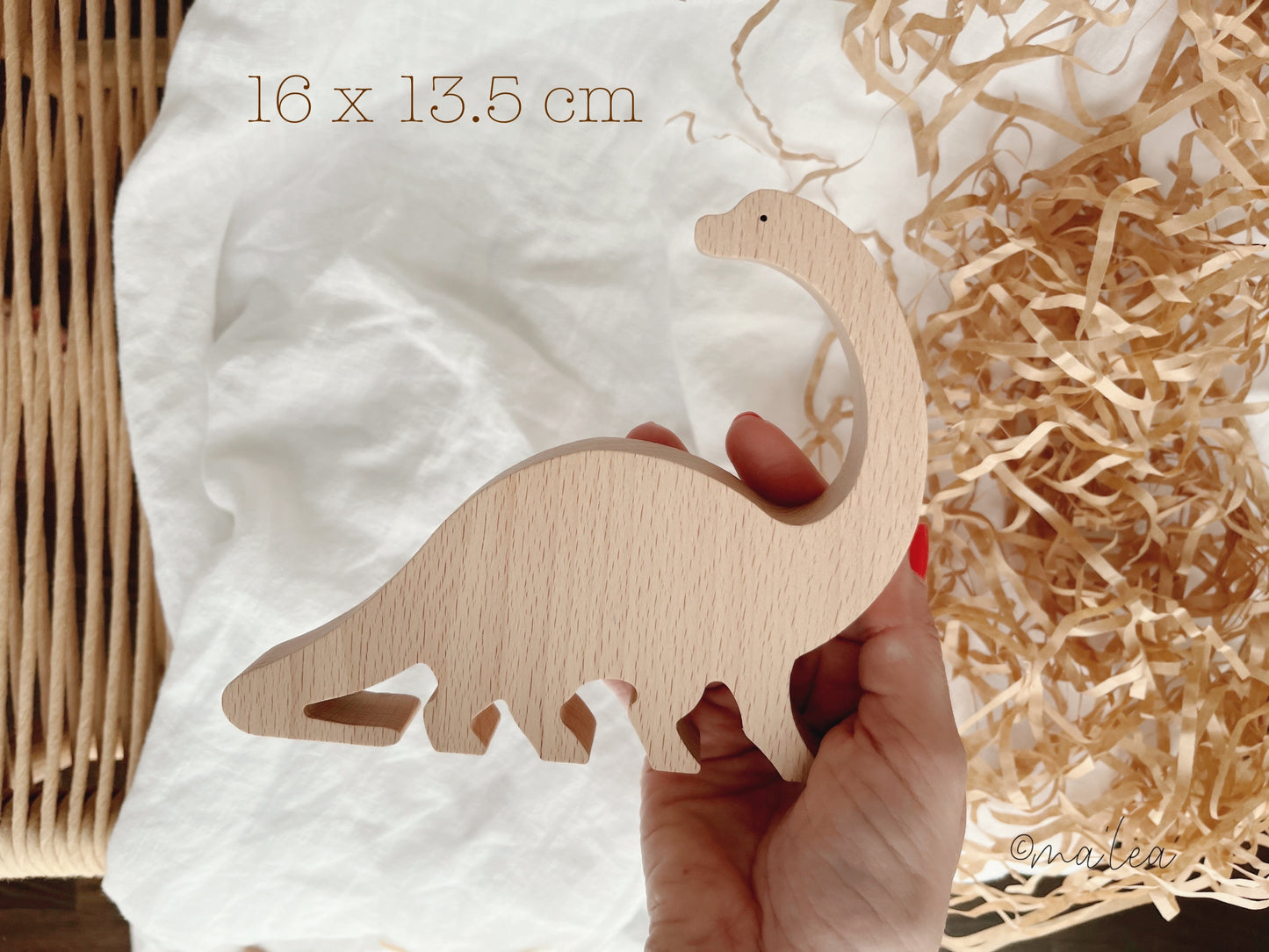 Holz Dinosaurier Spielzeug Set