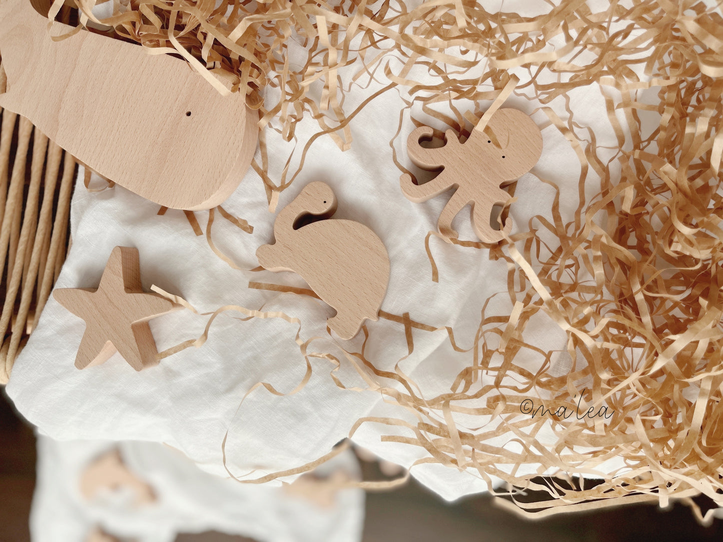 Holz Spielzeug Schildkröte