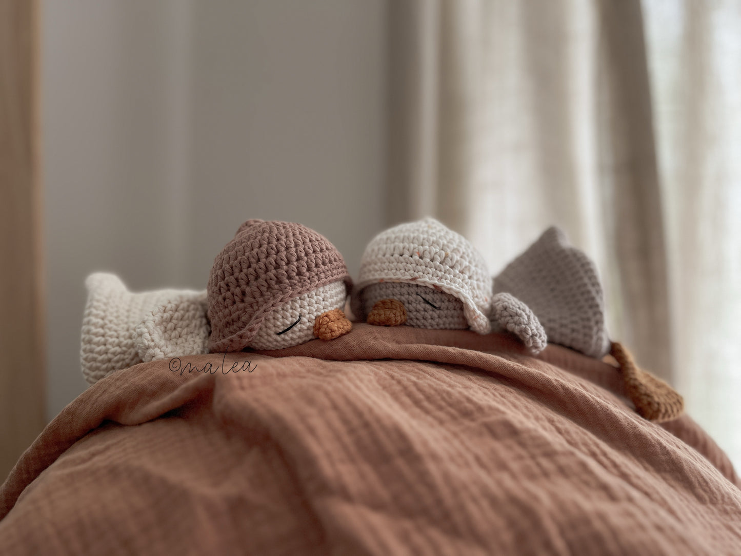 Cuddly gosling Ida