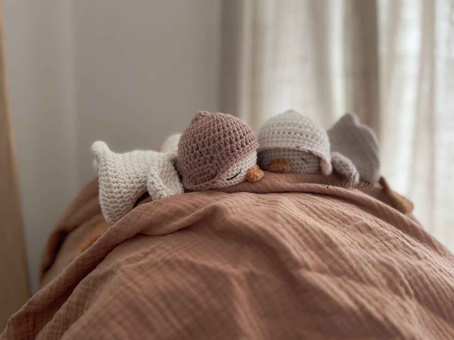 Cuddly gosling Ida