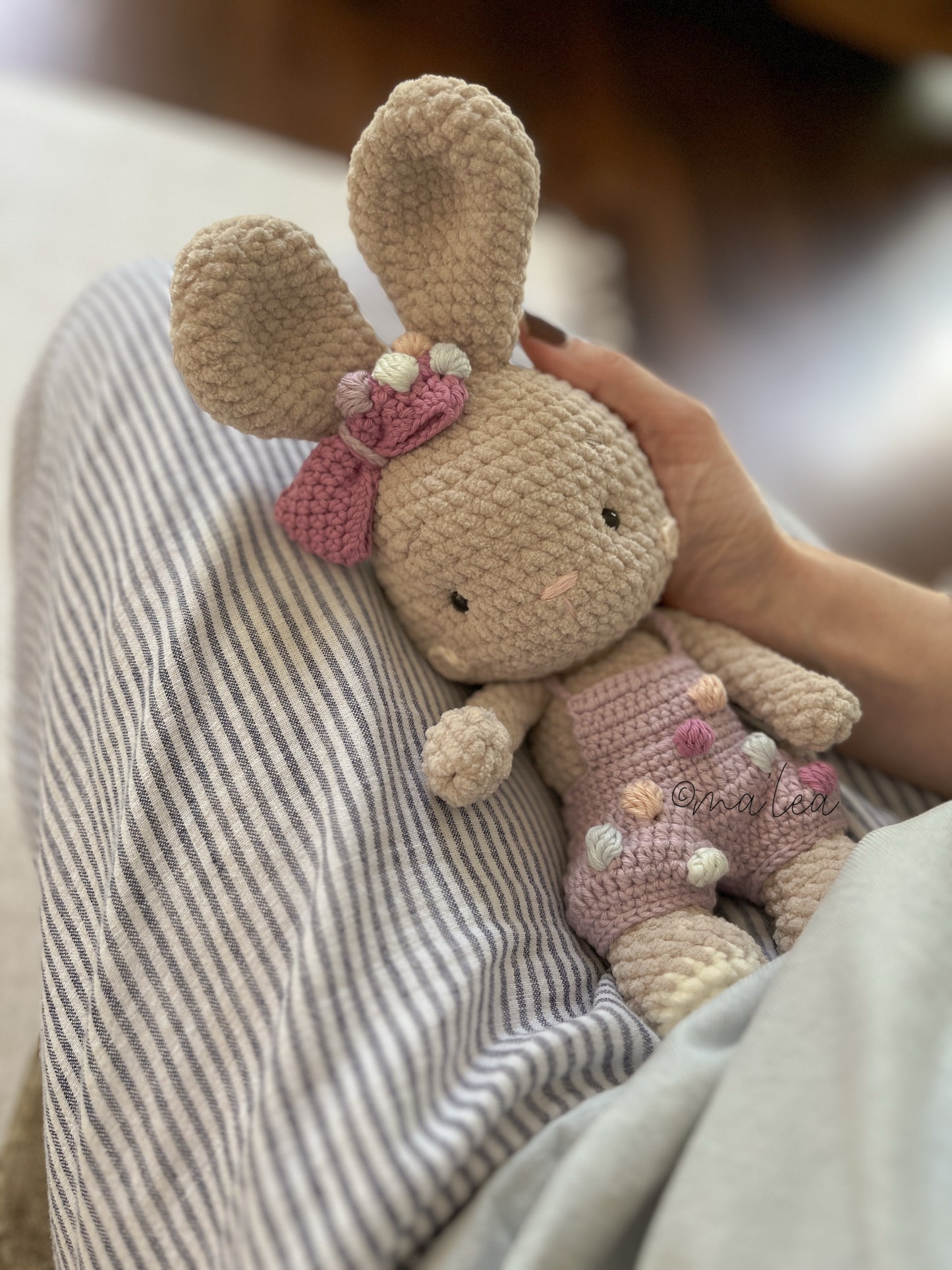Instructions for Lucca the Bear (Digital Download in German)