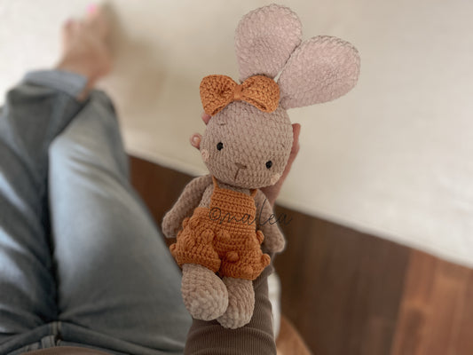 Instructions for Lucca the Bear (Digital Download in German)