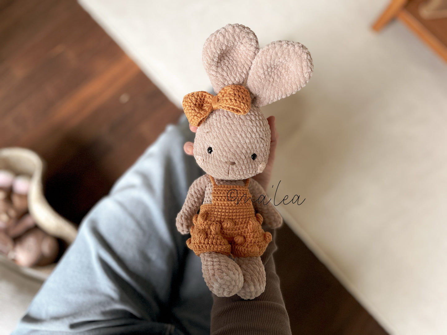 Instructions for Lucca the Bear (Digital Download in German)