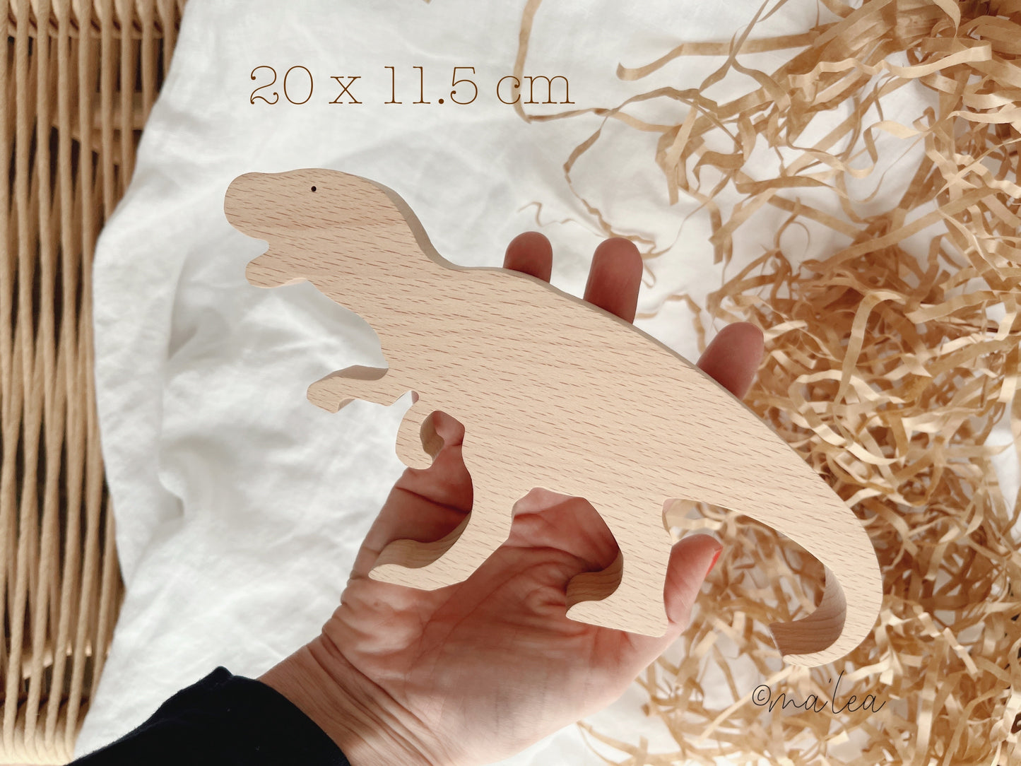 Holz Dinosaurier Spielzeug Set